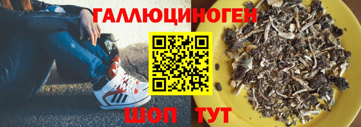 Галлюциногенные грибы Cubensis  Вход с VPN  Пенза  Галлюциногенные грибы прущие грибы 