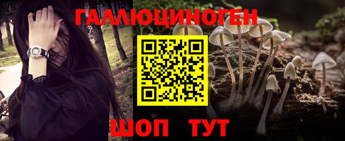 Галлюциногенные грибы мицелий Пенза